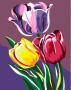 Картина по номерам на холсте 20х16 "Тюльпаны"	КН2015007