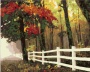 Картина по номерам на холсте 50х40 "Осенний лес" КН5040034