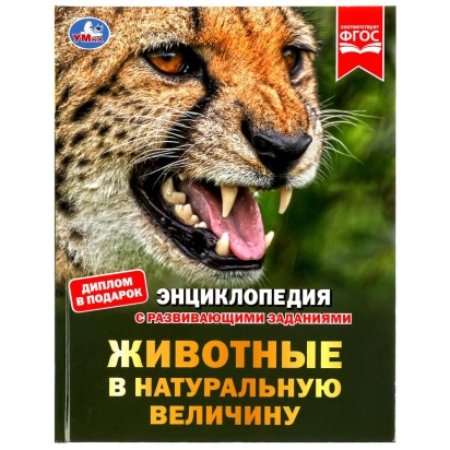 Животные в натуральную величину. Энциклопедия с развивающими заданиями. 50 стр. Умка  ,  342061