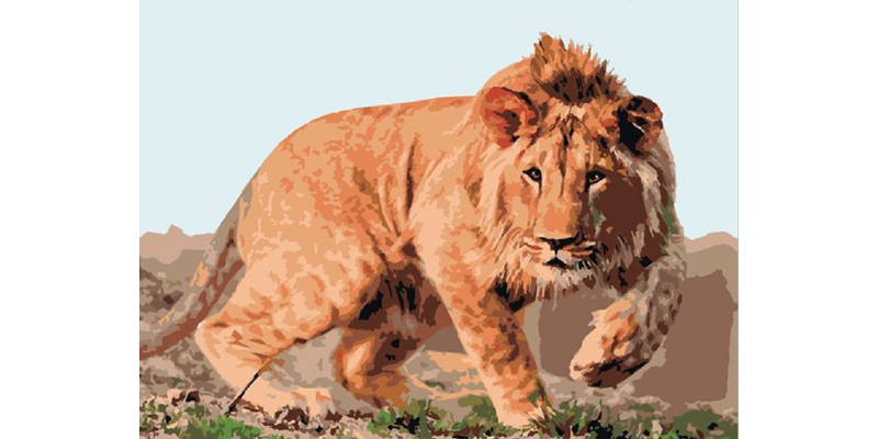 Картина по номерам 30*40 "Молодой лев"