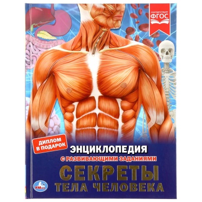 УМКА. СЕКРЕТЫ ТЕЛА ЧЕЛОВЕКА (ЭНЦИКЛОПЕДИЯ А4). ТВЕРДЫЙ ПЕРЕПЛЕТ. 197Х255ММ. 48 СТР. 293364