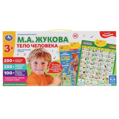 Плакат двусторонний на бат. музыкальная азбука М.Жукова, тело человека в кор. Умка HX0251-R93