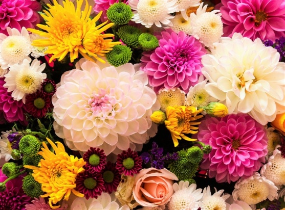 Алмаз. мозаика (класс.) 30х40 см,без подр.,с полн. зап.(31 цв.) Цветочное разнообразие (Арт. WP107)