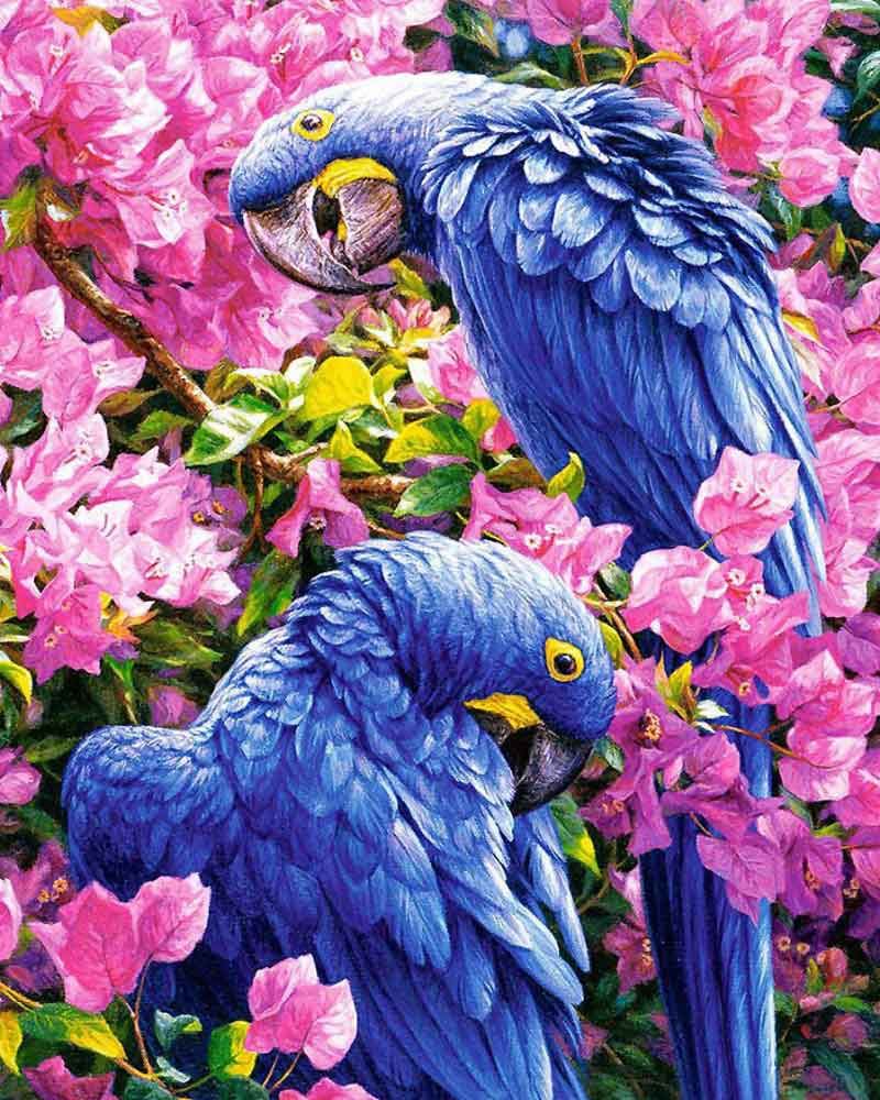 Картина по номерам на холсте 50х40 "Синие попугаи" КН5040017