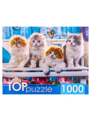 TOPpuzzle. ПАЗЛЫ 1000 элементов. ШТТП1000-4154 Котята скоттиш фолд 