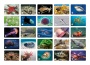 Мемо "Подводный мир" (50 карточек) 8032 /48