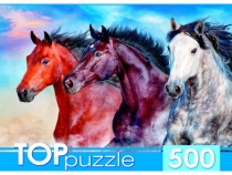 TOPpuzzle. ПАЗЛЫ 500 элементов. ШТТП500-2711 ТРОЙКА ДИКИХ СКАКУНОВ
