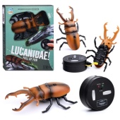 Жук р/у,   9996G / 418386