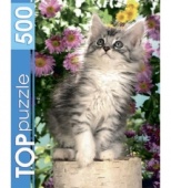 TOPpuzzle. ПАЗЛЫ 500 элементов. КБТП500-6798 Котенок в цветах