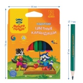 Карандаши цветные Мульти-Пульти "Приключения Енота", 12цв., короткие, заточен., картон, европодвес  
