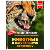 Животные в натуральную величину. Энциклопедия с развивающими заданиями. 50 стр. Умка  ,  342061
