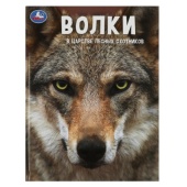 Волки. В царстве лесных охотников.(Энциклопедия А4 с развивающими заданиями)48 стр. Умка. ,  353227