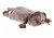 Кот-подушка, Kp40-012 