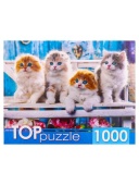 TOPpuzzle. ПАЗЛЫ 1000 элементов. ШТТП1000-4154 Котята скоттиш фолд 