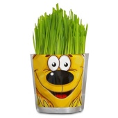 Happy Plant Львенок  hp-47