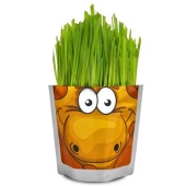 Happy Plant Жираф  hp-45