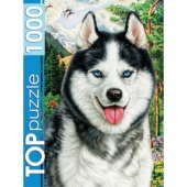 TOPpuzzle. ПАЗЛЫ 1000 элементов. ФТП1000-7178 Портрет хаски