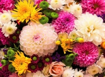 Алмаз. мозаика (класс.) 30х40 см,без подр.,с полн. зап.(31 цв.) Цветочное разнообразие (Арт. WP107)