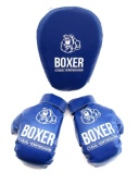 Боксерский набор №7 (лапа и перчатки), 21536