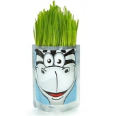 Happy Plant Зебра  hp-46