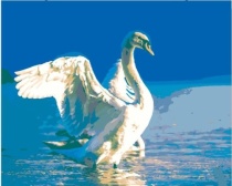 Картина по номерам на холсте 50х40 "Белый лебедь" КН50401952