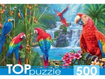 TOPpuzzle. ПАЗЛЫ 500 элементов. ЯРКИЕ ПОПУГАИ (Арт.ХТП500-6975)