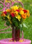 Алм. моз. 30*40 (класс) полное зап. без подр. (25 цв.) Яркие цветы на розовом стуле (Арт. CF30070)