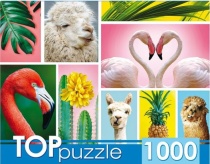 TOPpuzzle. ПАЗЛЫ 1000 элементов. ГИТП1000-4137 Модный коллаж