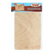 Доска для выжигания черепашки ниндзя MultiArt   DVTURT-124483