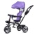 Велосипед 3-х колесный, фиолетовый 6166FP-2 / 320107 Велосипед 3-х колесный, фиолетовый 6166FP-2 / 320107