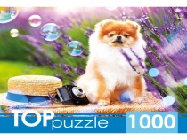 TOPpuzzle. ПАЗЛЫ 1000 элементов. ШТТП1000-9859 Шпиц в саду