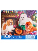 TOPpuzzle. ПАЗЛЫ 1000 элементов. ХТП1000-4145 Игривые шпицы  